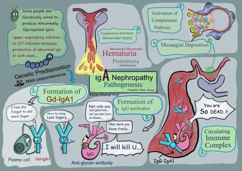 Nephritic Syndrome, Iga Nephropathy, Disseminated Intravascular Coagulation, Physician Assistant School, Nephrotic Syndrome, Addisons Disease, Upper Respiratory Infection, Medicine Studies, Sjogrens Syndrome