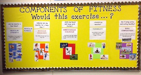 components of physical education bulletin board - Google Search Components Of Fitness, Physical Education Bulletin Boards, Pe Bulletin Boards, Health Bulletin Boards, Use Your Words, Elementary Physical Education, Elementary Pe, Physical Education Lessons, Pe Activities