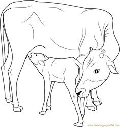 Indian Cow with Calf coloring page - Free Printable Coloring Pages Cow Calf Drawing, Cow With Calf, Indian Cow, Cow Coloring Pages, Cow Drawing, Cow Colour, Farm Animal Coloring Pages, Cow Pictures, Pichwai Paintings