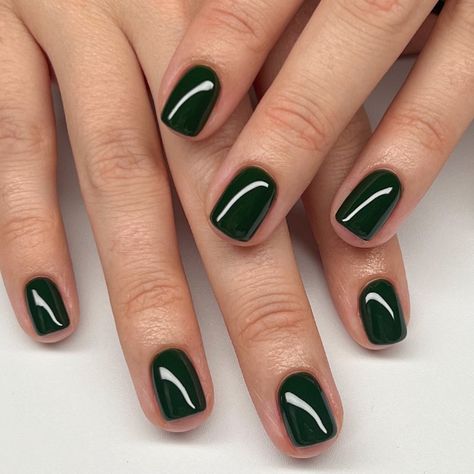 Dnd Green, Nails Dnd, Dark Green Nail Polish, Spa Furniture, Nail Supply Store, Dark Green Nails, Dnd Gel Polish, Green Nail Polish, Salon Equipment