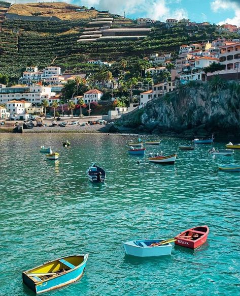 Câmera de lobos, Madeira Maderia Portugal Aesthetic, Maderia Portugal Beaches, Madeira Portugal Aesthetic, Maderia Portugal, Madeira Aesthetic, Lisbon Oceanarium, Madeira Beach Florida, Funchal Madeira, Portugal Vacation