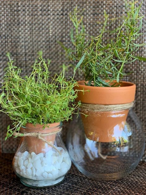 Diy Planting Pots, Diy Self Watering Pots How To Make, Diy Self Watering Terracotta Pot, How To Make Self Watering Pots, Unique Indoor Planter Ideas, Homemade Planters Diy Ideas, Diy Self Watering Pot, Herb Terrarium, Self Watering Planter Diy