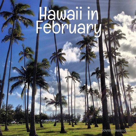 Hawaii In February, Vacation To Hawaii, Best Hawaiian Island, Hawaii Hikes, Beautiful Beaches Paradise, Where Is Bora Bora, Best Island Vacation, Lanai Island, Fiji Travel