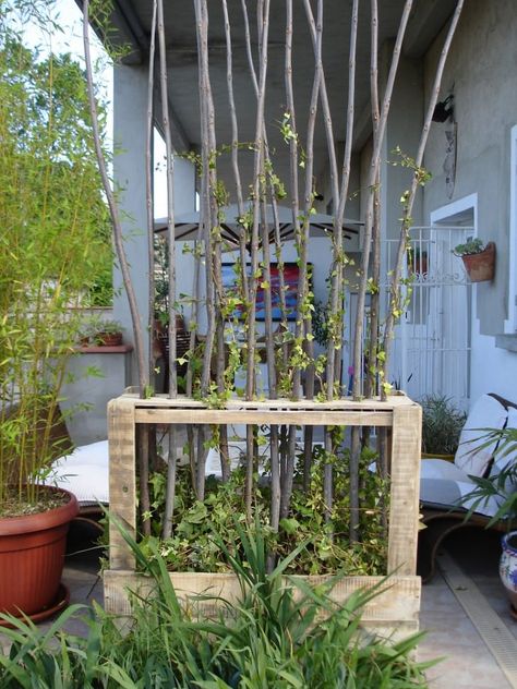 Pallet Screen, Palette Garden, Diy Gutters, Vertical Pallet Garden, Wooden Pallet Crafts, Outdoor Pallet Projects, Gutter Garden, Screen Plants, Garden Pallet