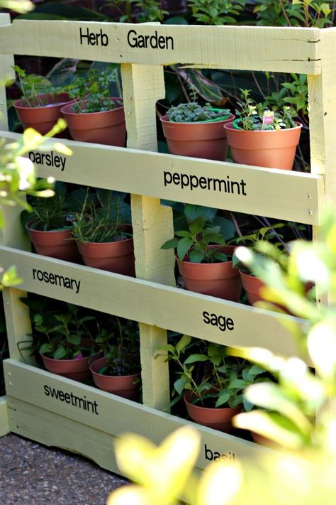 How To Make An Herb Garden From A Pallet: The Ultimate Guide To Fresh Herbs | Cheap Is The New Classy Herb Garden Pallet, Small Herb Gardens, Diy Herb Garden, Herb Garden Design, Vertical Herb Garden, Vertical Garden Diy, Vertical Gardens, Indoor Herb Garden, Pallet Garden