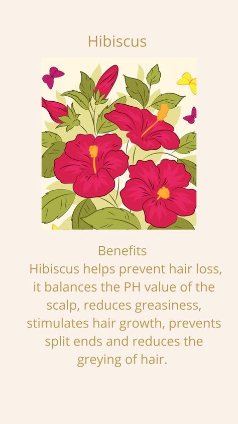 Hibiscus Flower Benefits, Hibiscus For Hair, Hair Damage Repair, Ingredients For Hair Growth, Hair Oil Products, Grow Hair Naturally, Oil For Dry Hair, Apothecary Table, Hair Fertilizer