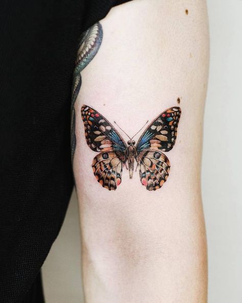 Butterfly Tattoo In Arm Crease, Butterfly Color Tattoo Design, Butterfly Tattoo Bicep For Women, Pinned Butterfly Tattoo, Microrealism Butterfly Tattoo, Real Butterfly Tattoo, Pretty Cover Up Tattoos For Women, Boho Butterfly Tattoo, Butterfly Bicep Tattoo