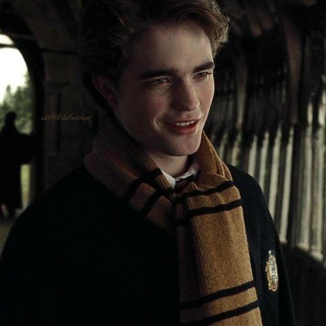 Cedric Diggory Aesthetic, Harry Potter Fanları, Hufflepuff Aesthetic, Robert Pattinson Twilight, Harry Potter Wall, Harry Potter Icons, Images Harry Potter, Harry Potter Tumblr, Harry Potter Actors