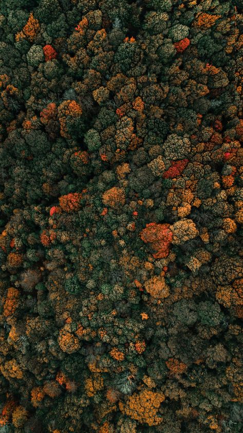 Aerial Photography People, Aerial Photography City, Aerial Photography Drone, View Wallpaper, Mountain Wallpaper, Close Up Photography, Texture Images, Forest Wallpaper, Tree Wallpaper