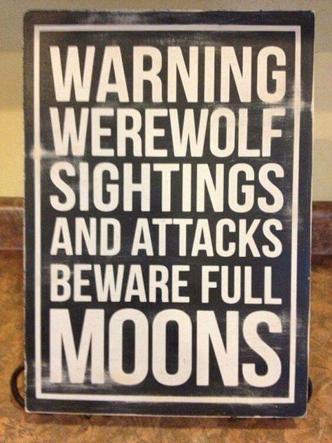 Warning!!! Werewolf Quotes, Fangtastic Halloween, Werewolf Party, Wolf Party, Werewolf Halloween, Annie Edison, Werewolf Aesthetic, Fantasy Team, Werewolf Art