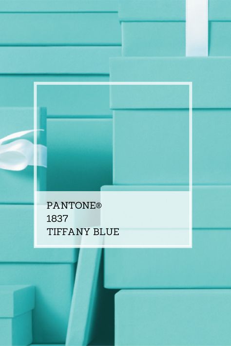 My favorite color is Tiffany Blue. Tiffany Blue Pantone, Color Core, My Favorite Color, Tiffany And Co, Ig Stories, Tiffany Blue, Color Of Life, Brand Colors, Graduation Party