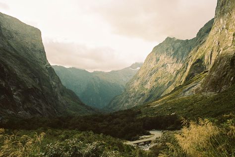 Adventure Travel Photography, Portra 160, Weird Photography, Canon Ae 1, Analog Photography, European Cities, Milford Sound, Film Photography 35mm, Ancient Forest