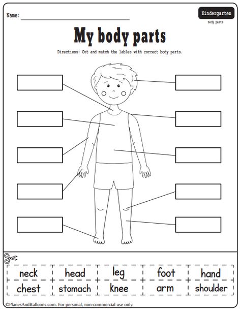 Body Parts Worksheet For Grade 1, Parts Of The Body Worksheet Kindergarten, My Body Parts Activities, Parts Of The Body Worksheets Preschool, Body Parts Worksheet Kindergarten, Body Parts Activity For Kindergarten, My Body Worksheets For Kids, Part Of Body Worksheet, Parts Of The Body For Kids