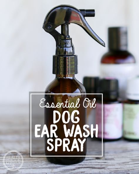 ESSENTIAL OIL DOG EAR WASH SPRAY RECIPE: In a 2 ounce glass spray bottle, combine: 15 drops Lavender Essential Oil  15 drops Geranium Essential Oil 15 drops Frankincense, Serrata Essential Oil  15 drops Basil Essentail Oil Fractionated Coconut Oil to fill the bottle about 3/4 of the way full Shake well. Use as described above. Dog Ear Wash, Essential Oils Dogs, Dogs Ears Infection, Diy Dog Food, Coconut Oil For Teeth, Coconut Oil For Dogs, Dog Remedies, Ear Infections, Oils For Dogs