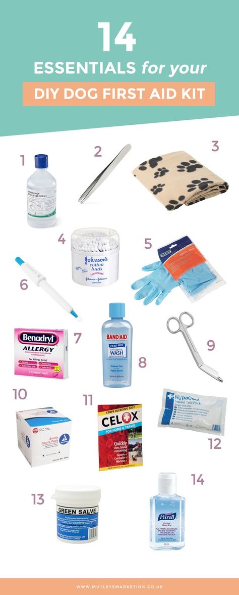 When you work with dogs it is vital that you are prepared for any sudden medical emergencies that may arise while the dog is in your care.  Having a dog first aid kit on hand allows you to quickly … Dog First Aid Kit, Dog First Aid, Lou Dog, Dog Essentials, Dog Info, Dog Care Tips, Dog Items, Pet Hacks, Diy Dog