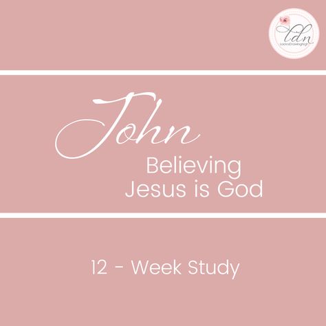 John Study Guide, John Study Notes, The Book Of John Bible Study Notes, Book Of John Bible Study, Bible Notes Ideas Notebooks, Christian Notebook Ideas, Bible Study John, John Bible Study, Bible Notes Ideas