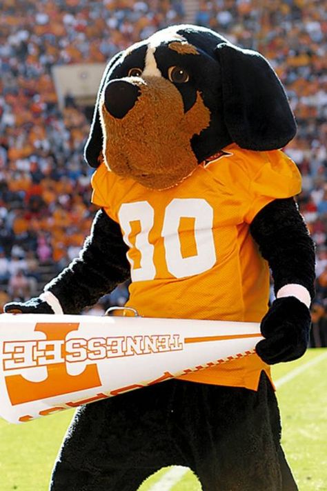 Tennessee Vols costumed mascot - Smokey Tennessee Mascot, University Of Tn, Ut Football, Campbell University, Rocky Top Tennessee, Tennessee Girls, Tennessee Volunteers Football, Tn Vols, Sec Football