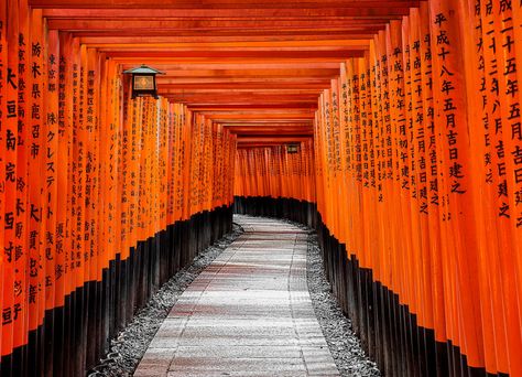 Most Beautiful Places to Visit in Japan - Thrillist Kapal Feri, Shirakawa Go, Beautiful Places In Japan, Fushimi Inari Taisha, Fushimi Inari, Beppu, Torii Gate, Ibaraki, Up To The Sky