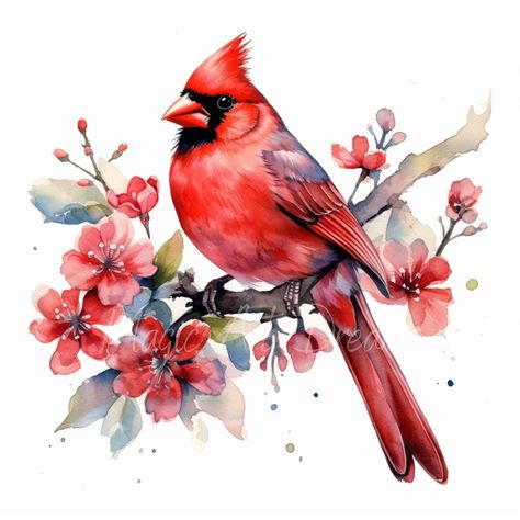 Watercolour Christmas Red Cardinal Clipart, 18 High Quality Jpgs, Digital Download, Commercial Use, Card Making, Digital Paper Craft - Etsy Cardinal Watercolor, Animals Jokes, Watercolor Red, Exotic Animals, Cardinal Birds, Red Bird, Creative Painting, Jokes Funny, Bird Drawings