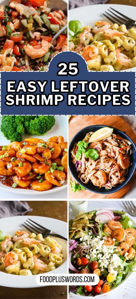 Elevate your meals with these inventive leftover shrimp recipes. From healthy salads to quick and easy dinners, discover creative ideas that turn yesterday's shrimp into today's delicious dishes. Make the most of precooked shrimp with these flavorful and nutritious options, perfect for any occasion, including New Year's Eve dinners. Easy Prawn Dinner Recipes, Leftover Cooked Shrimp Recipes, Recipes With Precooked Shrimp, Boiled Shrimp Leftover Recipes, Leftover Shrimp Recipes, Shrimp Recipes Easy Dinners, Precooked Shrimp Recipes, Cooked Shrimp Recipes, Shrimp Boil Recipe