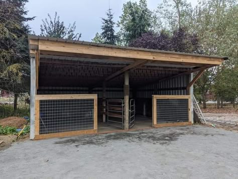 Pony Enclosure, Cow Enclosure, Horse Shelter Ideas Cheap, Horse Shelter Ideas, Small Barn Ideas, Simple Horse Barns, Pasture Shelter, Horse Shelters, Horse Shed