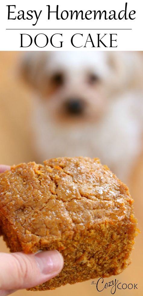 This easy Homemade Dog Cake Recipe has a tasty blend of peanut butter, honey and carrots, your dog will love it! #dog #cake #homemade #dogtreats Doggie Cake, Dogs Cake, Dog Cake Recipes, Dog Biscuit Recipes, Butter Honey, Dog Treats Homemade Recipes, Peanut Butter Honey, Diy Dog Treats, Puppy Treats