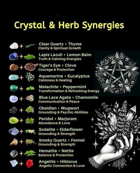 David Todd Crystal And Herb Pairings, Psychic Herbs, Crystals For Plants, Crystal Pairings, Goddess Magick, Spells For Beginners, Healing Journaling, Witch Spirituality, Magic Spell Book