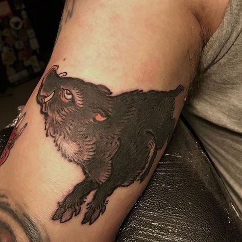 Another gap filler on my friend... #wildboars #javalisselvagens #animalselvagem #animaisselvagens #tattoos #flash #wildboartattoo #japanese… Boar Aesthetic, Wild Boar Art, Wild Boar Tattoo, Boar Art, Boar Tattoo, Abstract Calligraphy, Tattoo Tips, Cat Tat, Japanese Tattoos