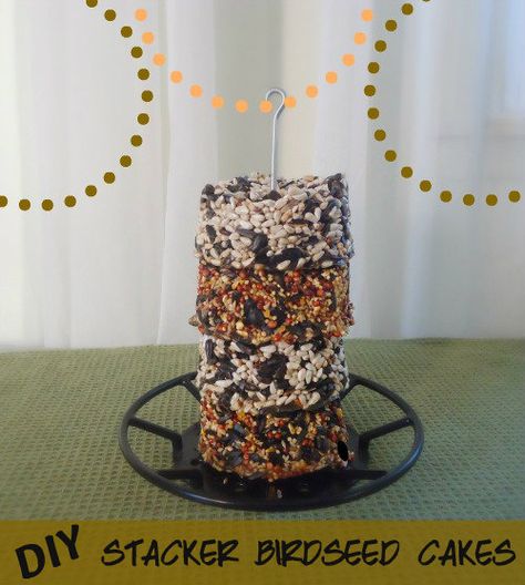 homemade birdseed cakes  www.themakeyourownzone.com Birdseed Cakes, Bird Seed Cakes, Homemade Birdseed, Bird Suet, Suet Cakes, Homemade Bird Houses, Bird Houses Ideas Diy, Homemade Bird Feeders, Seed Cake