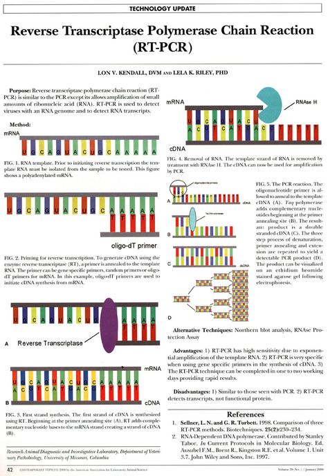 Rna Structure, Transcription And Translation Biology, Rna Transcription, Biology College, Biochemistry Notes, Molecular Genetics, Medical Transcription, Mcat Study, Study Biology