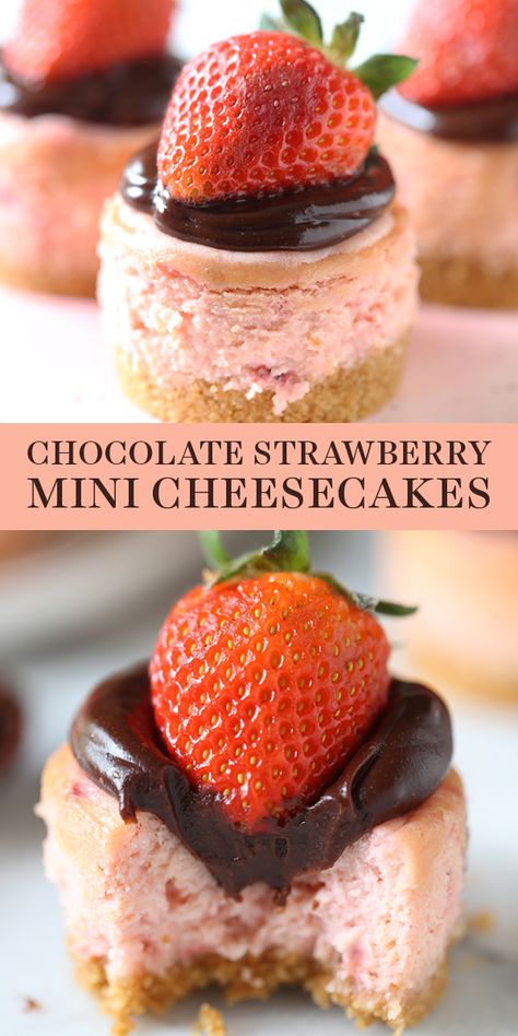 Chocolate Strawberry Mini Cheesecakes are perfectly easy, adorable, and transportable for the perfect Valentine’s Day dessert. Made with a graham cracker crust, plus they can be prepped ahead of time! This homemade, from-scratch recipe is perfect for kids, or him or her! #valentinesdaydessert #minicheesecake #strawberrycheesecake #chocolatestrawberry Chocolate Valentines, Valentines Desserts, Dessert Parfait, Mini Cheesecake Recipes, Valentine Desserts, Strawberry Chocolate, Oreo Dessert, Mini Cheesecakes, Chocolate Strawberry