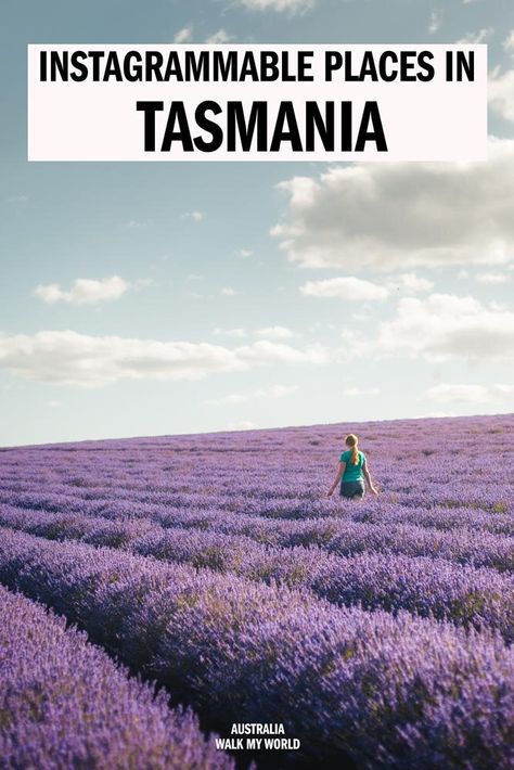 The 12 Most Instagrammable Places in Tasmania ��— Walk My World Instagramable Places, Tasmania Road Trip, Zion National Park Hikes, Tasmania Travel, Lightning Storms, Australia Queensland, Australia Itinerary, Most Instagrammable Places, Australian Travel