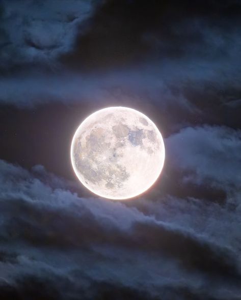 Tonight’s celestial event brings us the awe-inspiring Super Blue Moon, also known as the Full Sturgeon Moon 🌕. But why the intriguing names—Super, Blue, and Sturgeon? The Sturgeon Moon gets its name from the sturgeon fish, historically most abundant in North America’s Great Lakes during this time of year. Indigenous tribes, especially around the Great Lakes and Lake Champlain, noticed that these fish were easiest to catch in late summer, aligning with the August full moon. Thus, the August f... August Full Moon, Sturgeon Fish, Sturgeon Moon, Celestial Event, Indigenous Tribes, Moon Shadow, White Moon, Lake Champlain, The Great Lakes