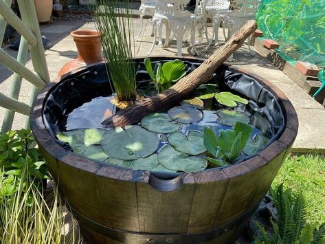 Small Backyard Pond, Plastic Pond, Backyard Pond Ideas, Small Backyard Ponds, Small Zen Garden, Mini Pond, Small Heater, Solar Powered Fountain, Building A Pond