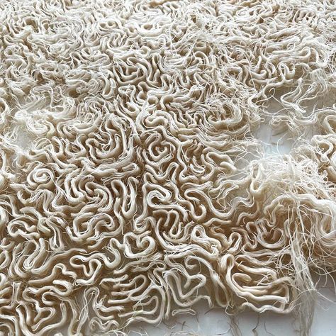 Zena Holloway on Instagram: "Wheatgrass roots Grown in moulds carved from beeswax. Experimenting with brain coral patterns 👀 #rootsystems #environmentalart #sustainabledesign #biodesign" Brain Coral Pattern, Zena Holloway, Brain Coral, Artwork Inspiration, Wax Molds, Grass Roots, Coral Pattern, Wheat Grass, Year 2