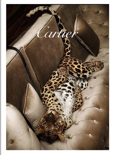 Cheetah Print Wallpaper, Money Poster, Glam Wall Art, Cartier Panthere, Iphone Wallpaper Photos, Print Wallpaper, Leopards, Room Posters, Phone Backgrounds