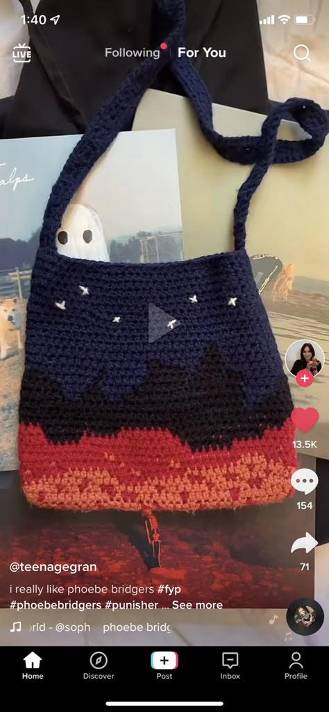 Phoebe Bridgers Crochet Bag, Crochet Pheobe Bridgers, Pheobe Bridgers Crochet, Crochet Phoebe Bridgers, Punisher Crochet, Stranger In The Alps Crochet, Tyler The Creator Crochet, Phoebe Bridgers Crochet, Grandma Era