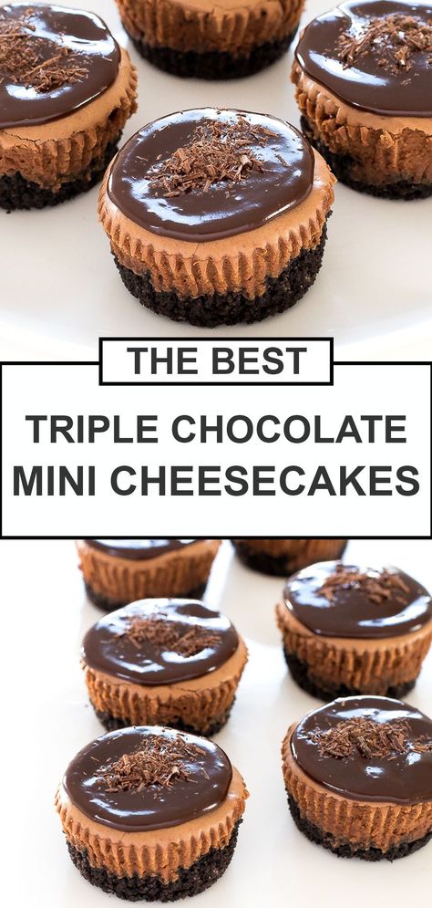 Chocolate Mini Cheesecakes, Mini Cheesecake Cupcakes, Biscotti Cheesecake, Triple Chocolate Cheesecake, Easy No Bake Cheesecake, Mini Cheesecake Recipes, Oreo Cookie Crust, Cheesecake Mini, Cheesecake Cupcakes