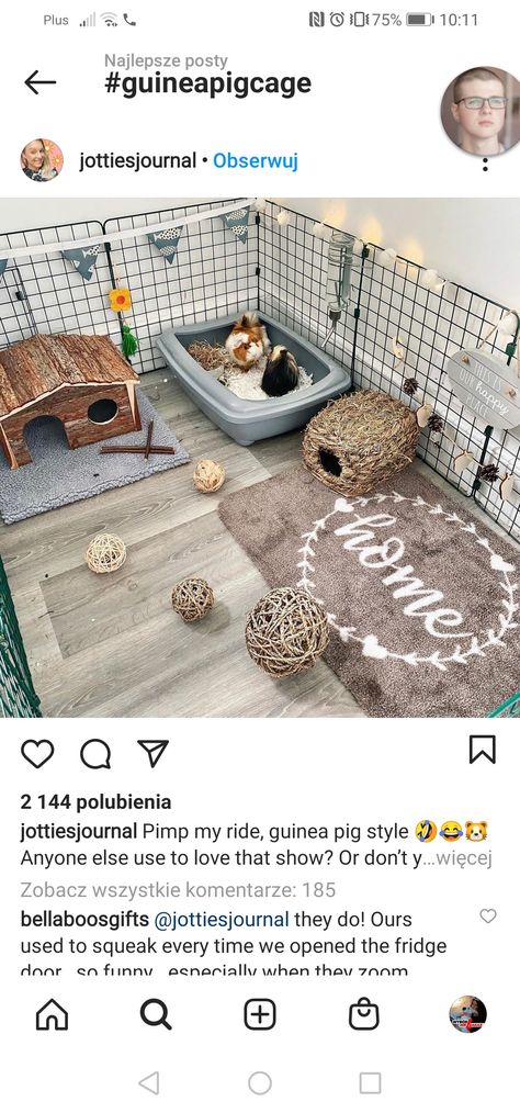 Gunia Pig Cage Ideas, Guinea Pig Cage Ideas Indoor, Indoor Guinea Pig Cage Ideas, Aesthetic Guinea Pig Cage, Guinea Pig Enclosure, Guinea Pig Cage Ideas, Indoor Guinea Pig Cage, Cavy Cage, Diy Litter Box