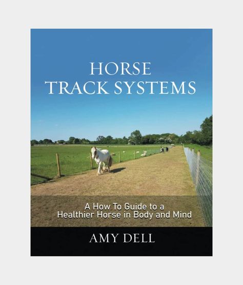 Horse Track Systems - 10 Brilliant Budget Ideas 5 Paddock Paradise, Healthy Horses, Free Horses, Budget Ideas, Astro Turf, Miniature Horse, Physical Wellness, Body And Mind, Tracking System