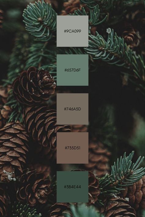 Green Moody Color Palette, Tavern Color Palette, Colors That Go With Dark Green, Forest Green Palette, Forest Color Scheme, Dark Green Color Palette, 8 Color Palette, Color Design Inspiration, House Color Palettes