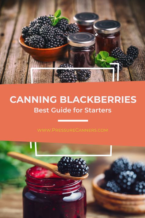 Canning blackberries is neither frightening nor time-consuming. Using the correct method and the ideal canning tools, you can easily can small batches of blackberries at home. Canning Blackberries Whole, Canning Oranges, Blackberry Bbq Sauce, Blackberry Pie Filling, Canning Blackberries, Canning Fruit Recipes, Homestead Canning, Homemade Blackberry Jam, Canning Tools