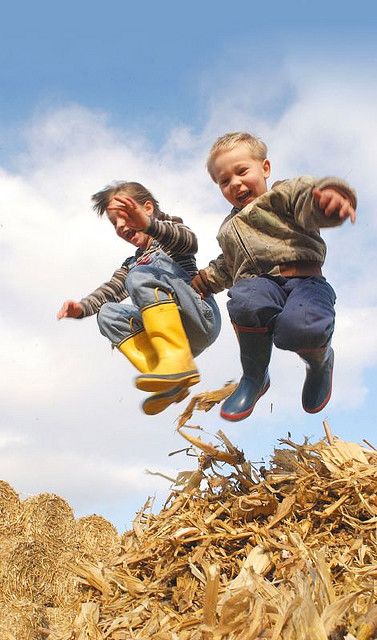 5 Kids Family, Iowa Farms, Corn Stalks, Country Kids, Jumping For Joy, Down On The Farm, 인물 사진, Simple Pleasures, On The Farm