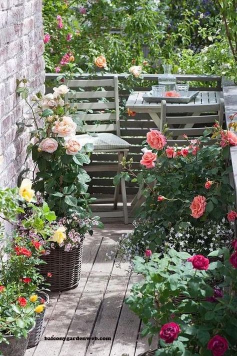 Apartment Patio Gardens, Rose Garden Design, Small Balcony Garden, Balcony Flowers, Rose Pictures, Growing Roses, Garden Pictures, Apartment Balcony Decorating, Flowers Wallpaper