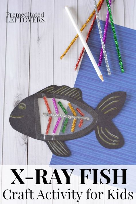 Letter X Craft: X-Ray Fish X Is For Craft Preschool, Sea Life Crafts For Kids, Letter X Preschool Crafts, X Ray Craft, Letter X Crafts For Preschoolers, Letter X Craft, X Ray Fish, Letter X Crafts, Letter S Crafts