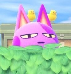 Bob Animal Crossing, Animal Crossing Fan Art, Animal Crossing Memes, Animal Crossing Funny, Ac New Leaf, Animal Crossing Characters, Animal Crossing Villagers, Animal Crossing Pocket Camp, Purple Cat