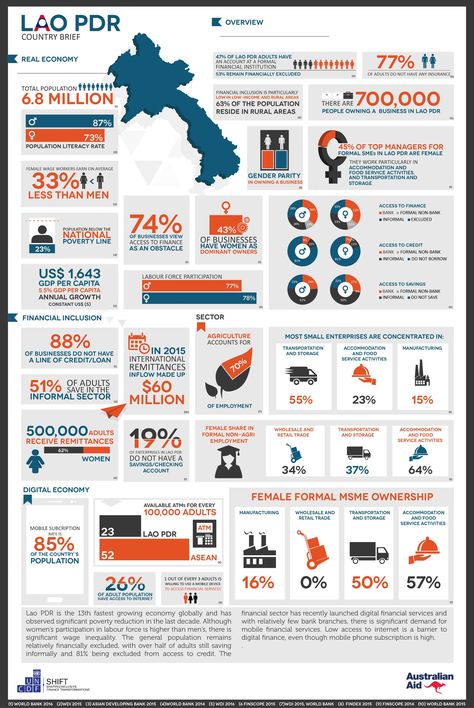 Infographic Country Brief: Lao PDR - UN Capital Development Fund (UNCDF) Finance Printables Free, Finance Dashboard, Business Storage, Literacy Rate, Italy Amalfi, Finance Major, Finance Binder, Financial Inclusion, Finance App