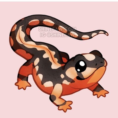 Art Sketches Animals, Cute Lizard Drawing, Sketches Animals, Lizard Drawing, Cartoon Lizard, Drawing Kawaii, Cute Gecko, Cute Lizard, Logo Animal