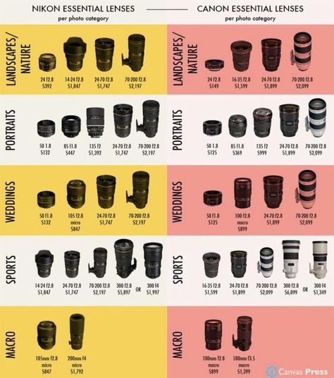 Guide to Nikon and Canon essential camera lenses for different photo categories | Photography camera, Landscape photography tips, Photography lenses Gcse Photography, Nikon Cameras, Manual Photography, Digital Photography Lessons, Dslr Photography Tips, Photography Settings, Fotografi Digital, Acrylic Landscape, Photography Lenses