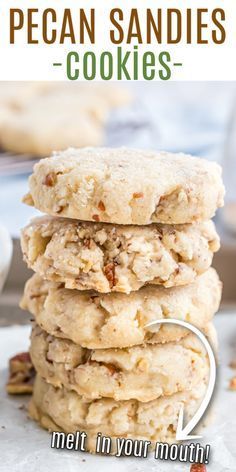 Most Delicious Cookie Recipe Ever, Melt In Your Mouth Pecan Cookies, Homemade Pecan Sandies Recipe, Melted Butter Cookie Recipe, Buttery Butter Pecan Cookies, Pecan Powdered Sugar Cookies, Butter Pecan Cookies Taste Of Home, Pecan Meltaways Recipe, Candied Pecan Cookies